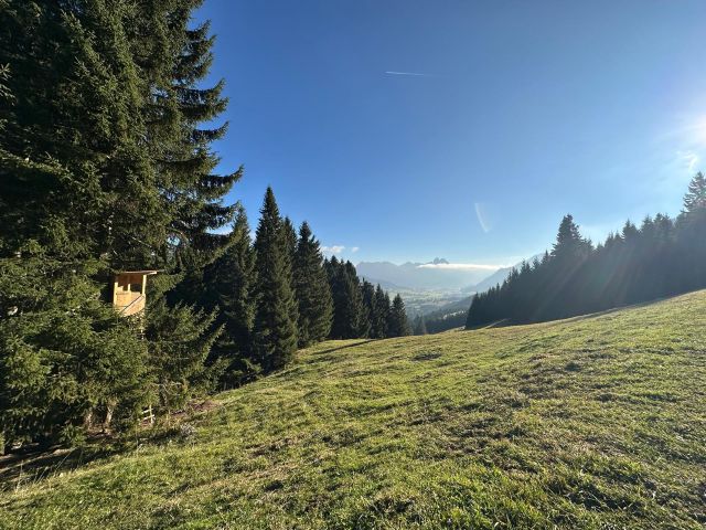 PHOTO 2025 10 18 09 51 43