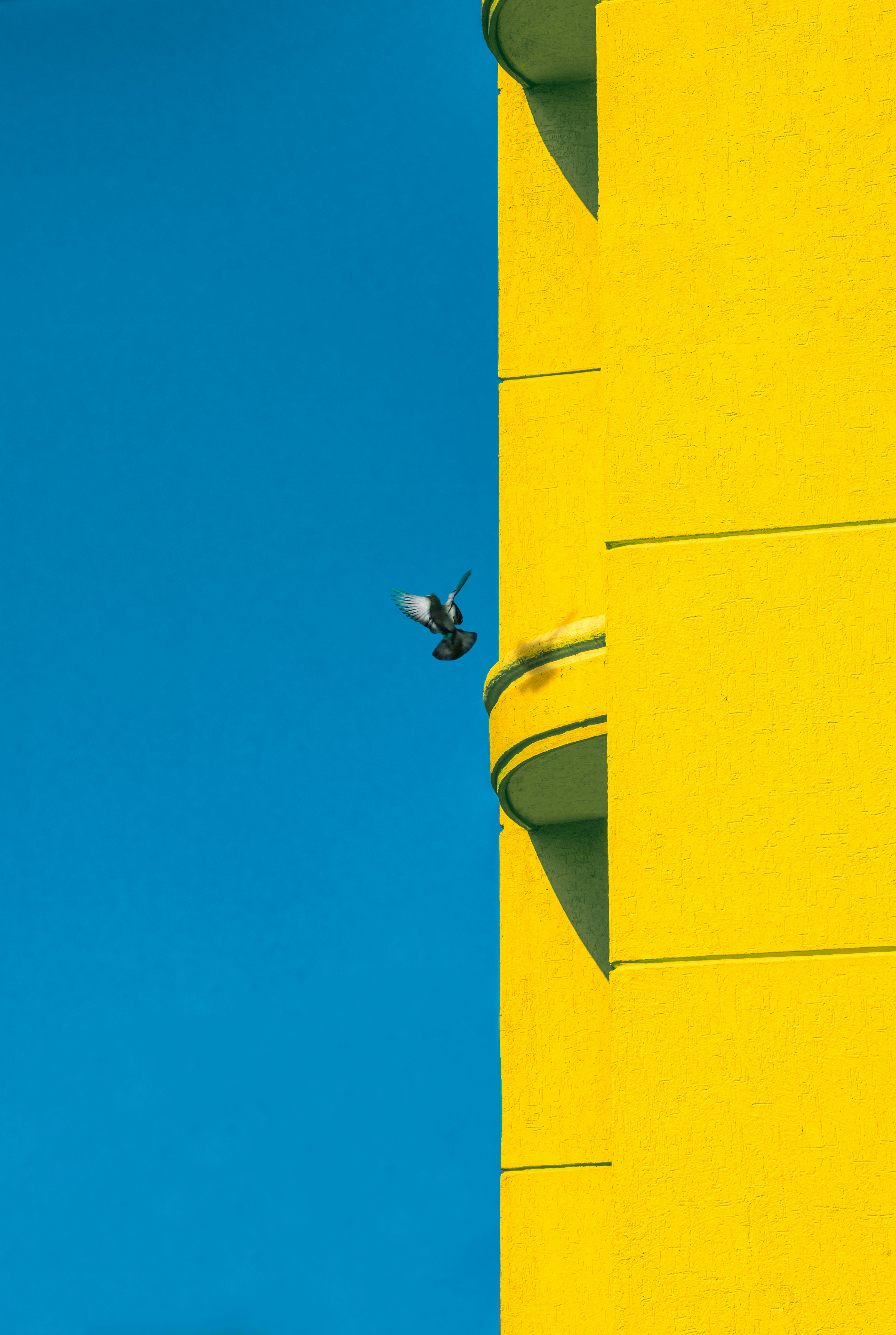narendra singh shekhawat XqJptdE1h8 unsplash